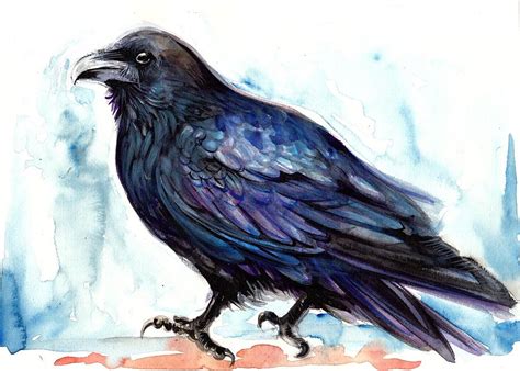 raven art of zoo|national zoo raven painting.